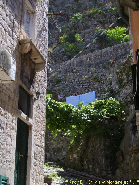 Kotor (31).jpg